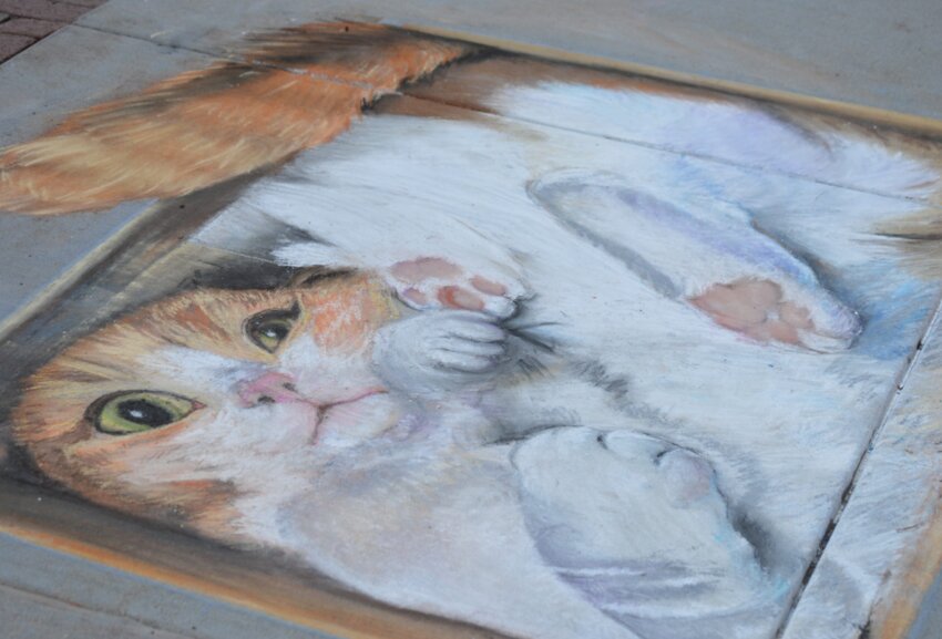 A popular art piece at the 2023 Centennial Chalk Art Festival was of a cat in a box, created by @susansdrawings on Instagram.
